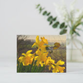 Daffodils Briefkaart (Staand voorkant)