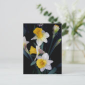 Daffodils Briefkaart (Staand voorkant)