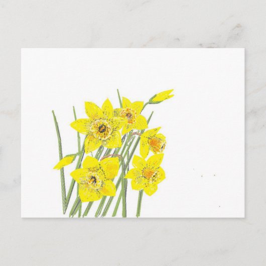  Daffodils Briefkaart (Voorkant)