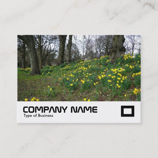 Daffodils Bute Park Visitekaartje (Voorkant)