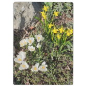 Daffodils & Crocus Klembord (Achterkant)