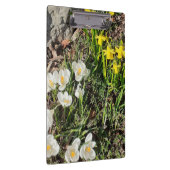 Daffodils & Crocus Klembord (Rechts)