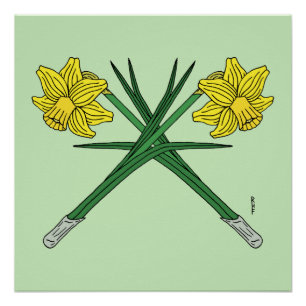 Daffodils Crossed Perfect Poster