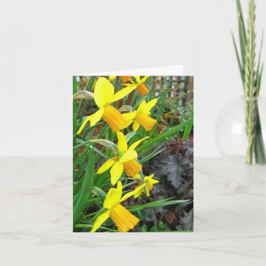 Daffodils en Birds Note Kaart (Voorkant)