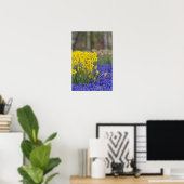 Daffodils en Grape Hyacinth, Keukenhof Poster (Thuiskantoor)