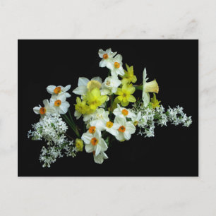 Daffodils en Lilacs Briefkaart