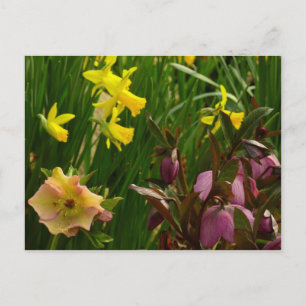 Daffodils en Rozen Colorful Floral Briefkaart