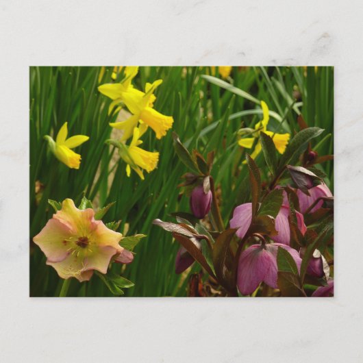 Daffodils en Rozen Colorful Floral Briefkaart (Voorkant)