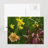 Daffodils en Rozen Colorful Floral Briefkaart (Voorkant / Achterkant)