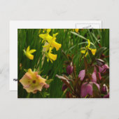 Daffodils en Rozen Colorful Floral Briefkaart (Voorkant / Achterkant)