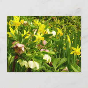 Daffodils en Rozen Colorful Floral Briefkaart