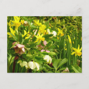Daffodils en Rozen Colorful Floral Briefkaart