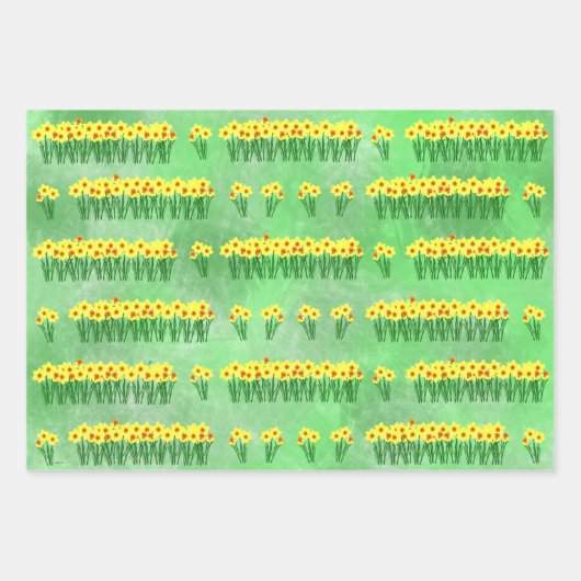Daffodils Envelopper les feuilles de papier (Devant 3)