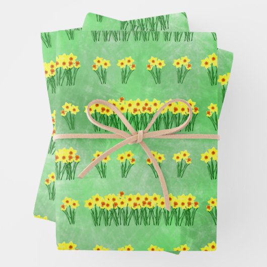 Daffodils Envelopper les feuilles de papier (En situation)