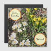 Daffodils et Crocus Carte magnétique d'anniversair (Devant / Derrière)