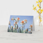 Daffodils in Bloom Kaart (Gele Bloem)