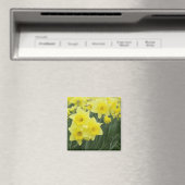 Daffodils Magneet (Insitu (Vaatwasser))
