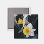 Daffodils Magneet (Voorkant / Achterkant)