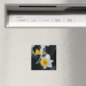 Daffodils Magneet (Insitu (Vaatwasser))