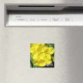 Daffodils Magnet Magneet (Insitu (Vaatwasser))