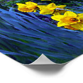 Daffodils reflecteren poster (Hoek)