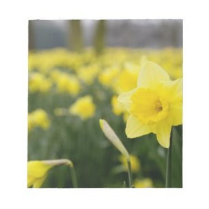 Daffodils (RF) Notitieblok