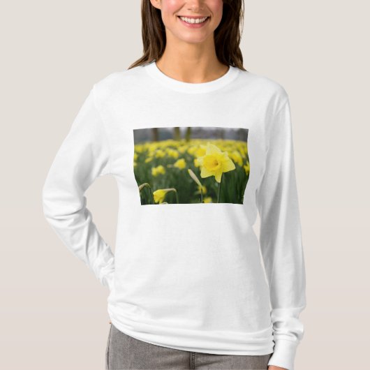 Daffodils (RF) T-shirt (Voorkant)