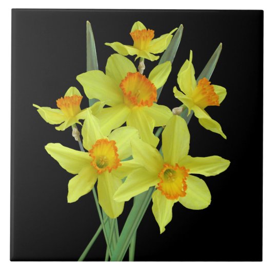 Daffodils Tegeltje (Voorkant)