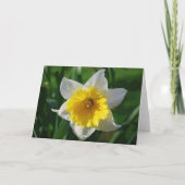 Daffodils Tic Tac Toe Carte de voeux pour Cancer P (Dos)