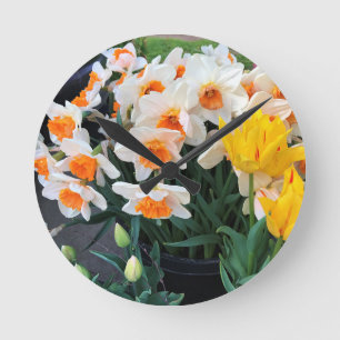 Daffodils & Tulips, Oregon Ronde Klok