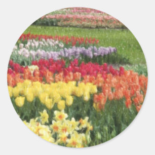 Daffodils Tulpen Hyacinten Potloden Ronde Sticker