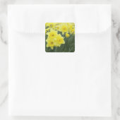 Daffodils Vierkante Sticker (Tas)