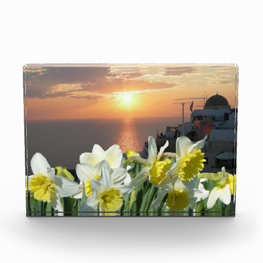 Daffodils Wit en Geel Fotoblok (Voorkant)