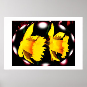 Daffodilspiralen Poster