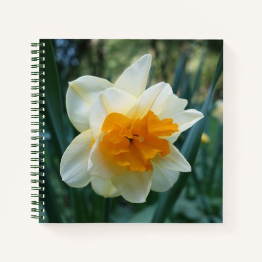 Daffodilventilator Notitieboek (Voorkant)