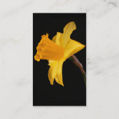DaffodilVisitekaartje Visitekaartje (Achterkant)