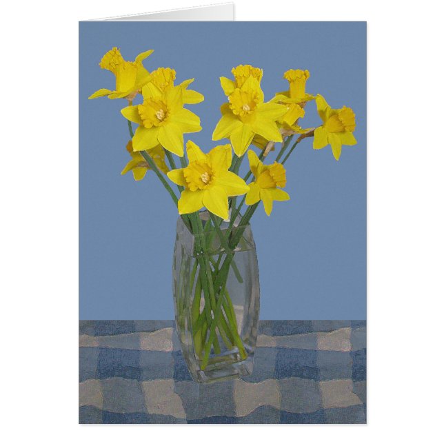 Daffodiques (Devant)
