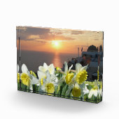 Daffodiques Bloc photo blanc et jaune (Droite)