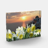 Daffodiques Bloc photo blanc et jaune (Gauche)