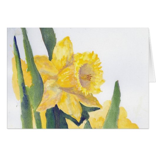 Daffodiques de printemps (Devant horizontal)