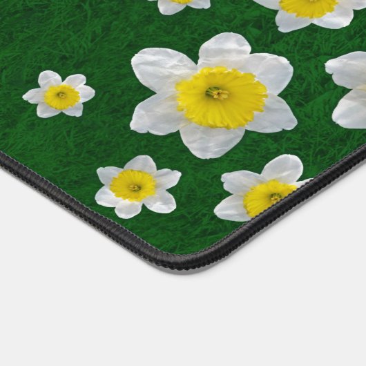 Daffodiques de printemps (Coin)