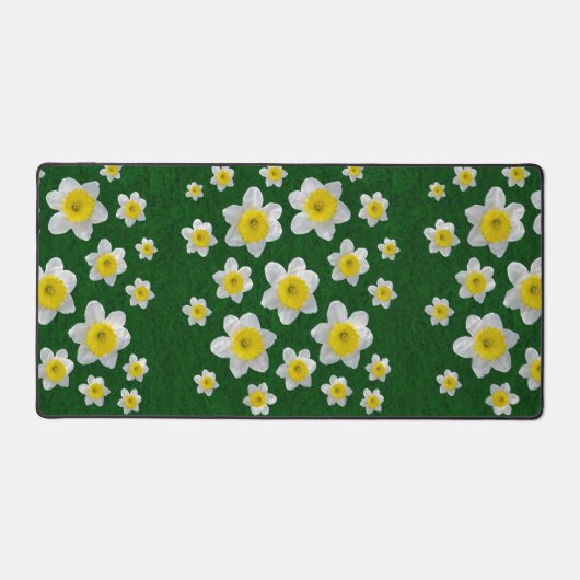 Daffodiques de printemps (Recto)