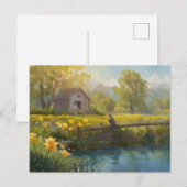 Daffodiques d'été Carte postale Maison de la natur (Devant / Derrière)