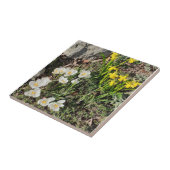 Daffodiques et carreaux en céramique Crocus (Côté)