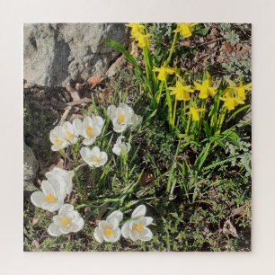 Daffodiques et Crocus Jigsaw Puzzle