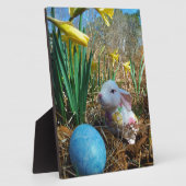 Daffodis en blauw paasei fotoplaat (Zijkant)