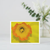 Daffy Briefkaart (Staand voorkant)