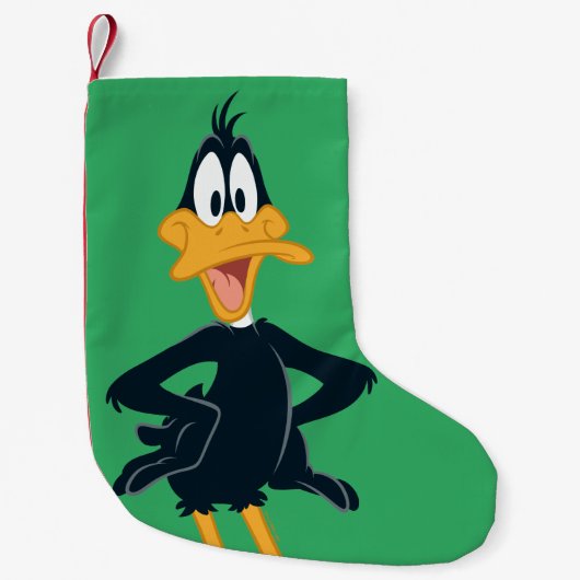 DAFFY DUCK™ KLEINE KERSTSOK (Voorkant)