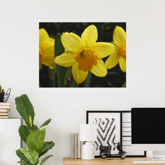 Daffy Poster (Thuiskantoor)