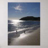 Dag bij het strand poster (Voorkant)